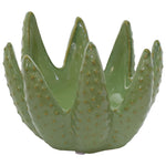 Green Aloe Candle Holder (15 cm)