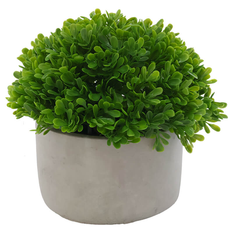 Cement pot with Pearl Grass (19 cm)
