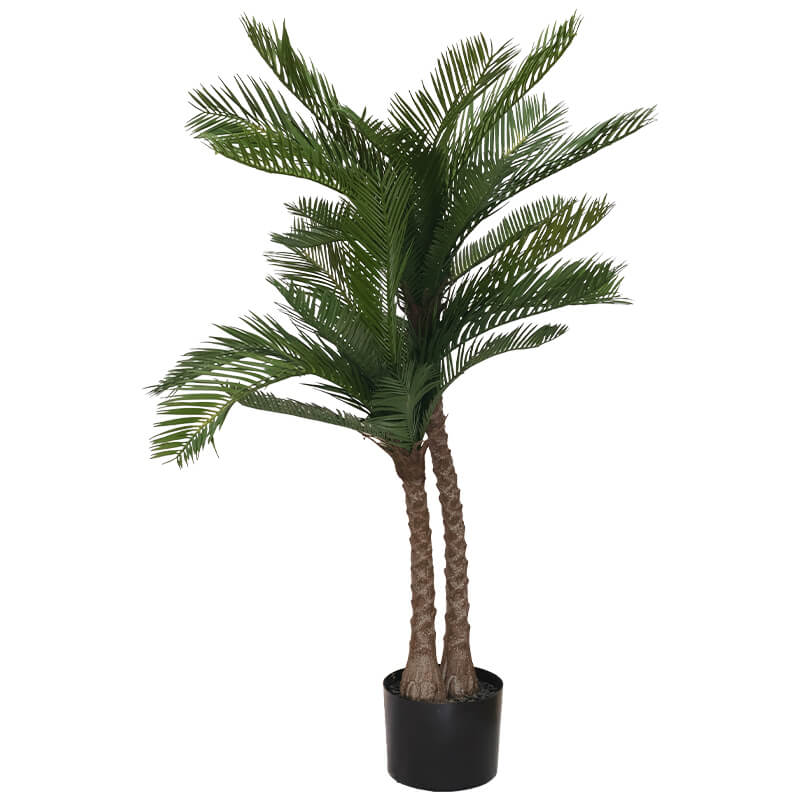 Cycas in pot (95 cm)