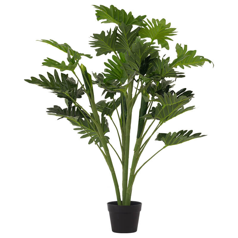 Delicious Monster in Pot (95 cm)