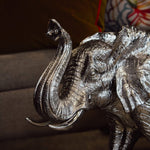 Elephant (51 cm)