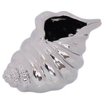 Miter Shell (Silver) 18 cm