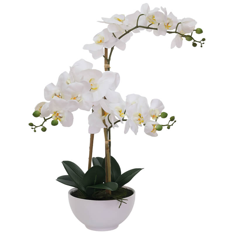 Real Feel White Orchid in pot (61 cm)
