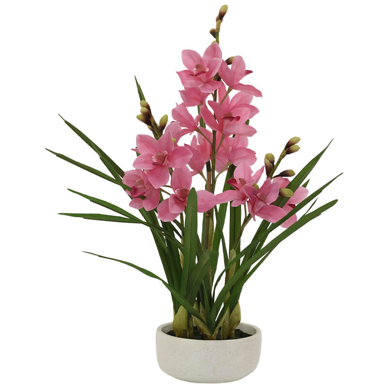 Pink Cymbidium in white pot (74 cm)