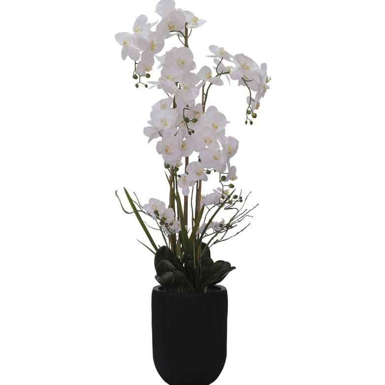 White Real Touch Orchid (150 cm)