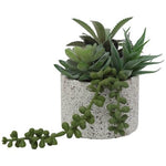Succulent cement pot (14 cm)