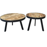 Toby Coffee Tables (Set of 2) Solid Mango Wood/Metal