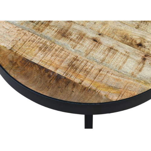 Toby Coffee Tables (Set of 2) Solid Mango Wood/Metal