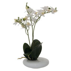 White Real Touch Orchid (30 cm)