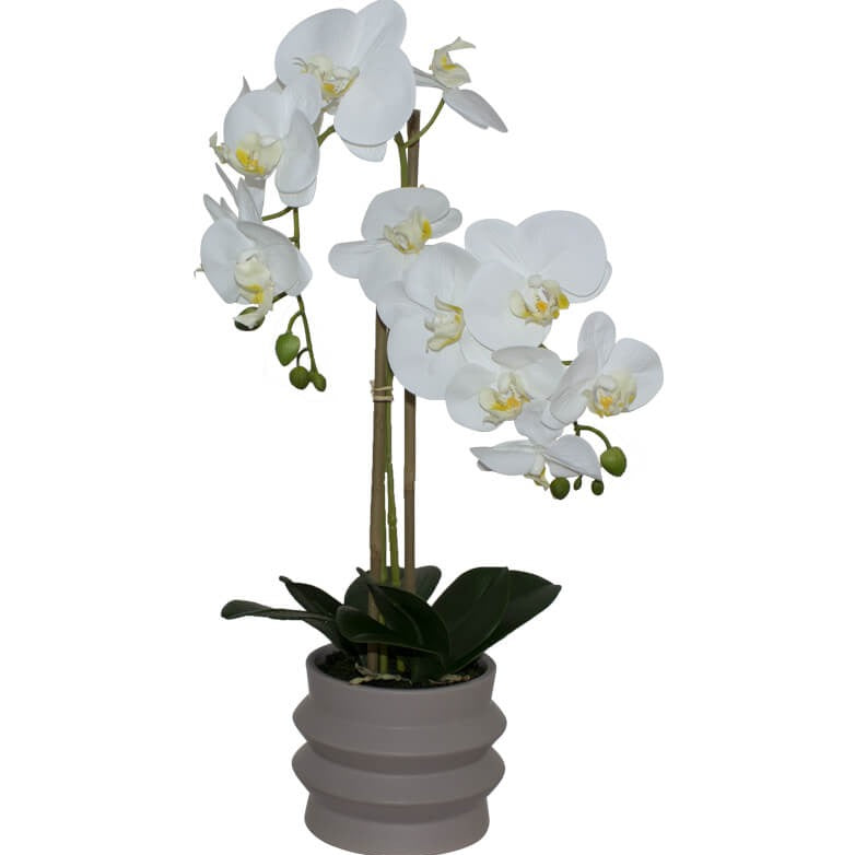 White Real Feel Orchid in Ripple Pot (58 cm)