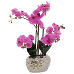 Pink Real Feel Orchid in Pot (58 cm)