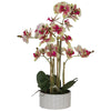 Real Touch G/R Orchid in Pot (58 cm) - MHF Decor-Delights