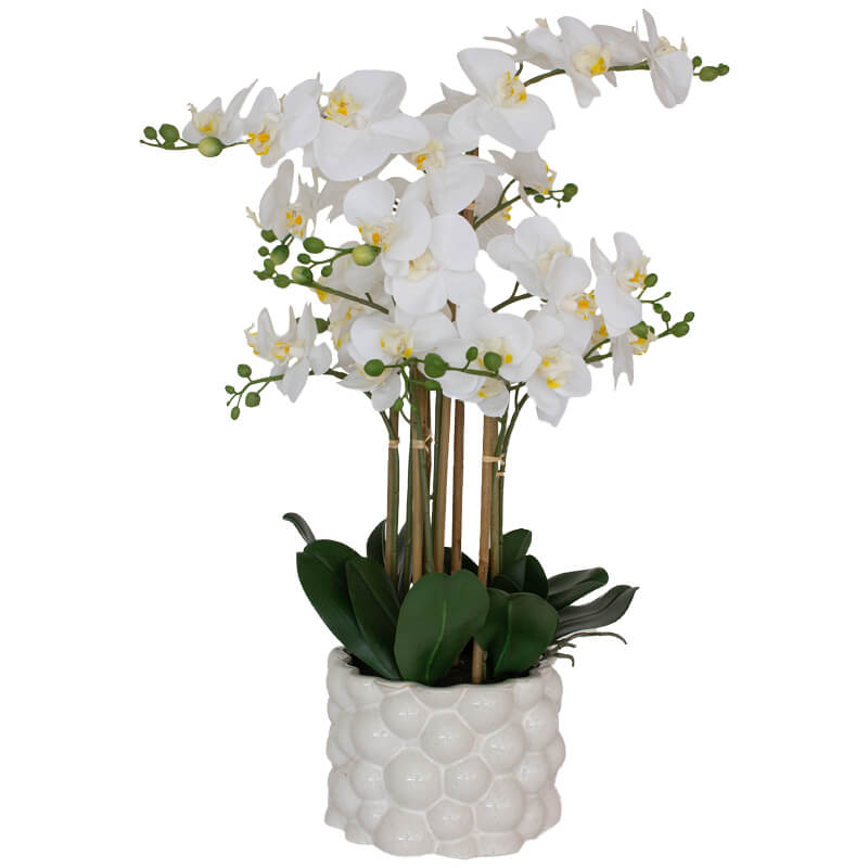 White Real Touch Orchid (71 cm) - MHF Decor-Delights