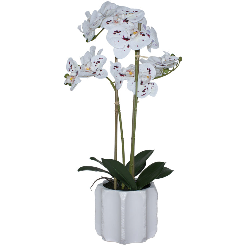 Speckled Real Feel Orchid (60 cm)