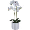 Speckled Real Feel Orchid (60 cm)