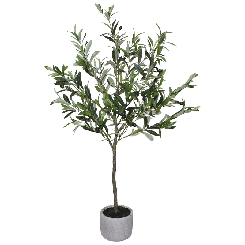 Olive Tree (109 cm)