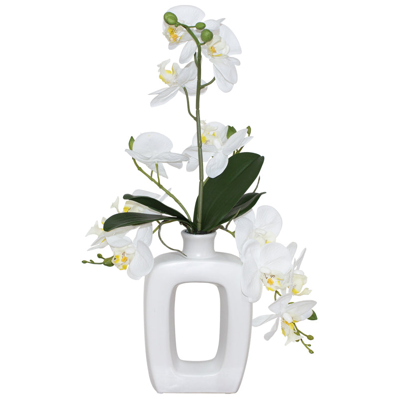 White orchid in White Vase (50 cm)