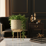 Cassie Pot Stand Close-Up in Luxury Setting