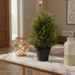 Cyprus Topiary Decor Setting