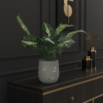Evergreen potted plant on luxury console
