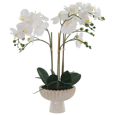 Real Feel White Orchid in FTD Pot (58 cm)