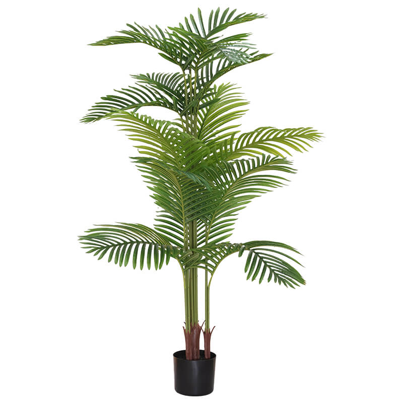 Palm in pot (150 cm)