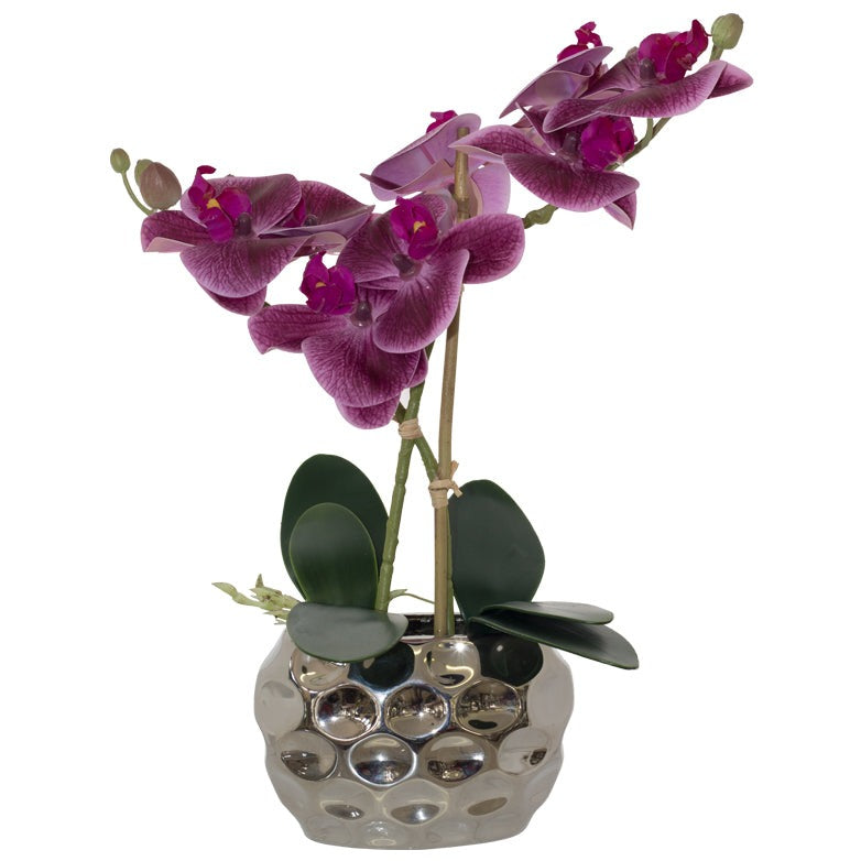 Purple Orchid in Silver pot (33 cm)