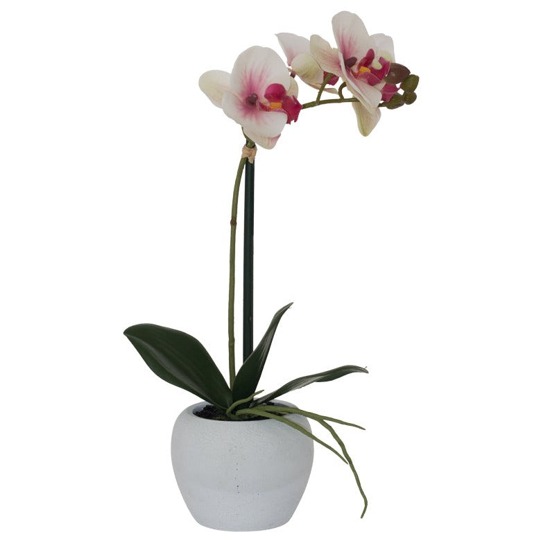 Pink/White Orchid (51 cm)