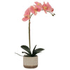 Pink Two Tone Orchid (48 cm) - MHF Decor-Delights