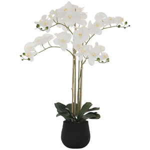 White Orchid (90 cm) - MHF Decor-Delights
