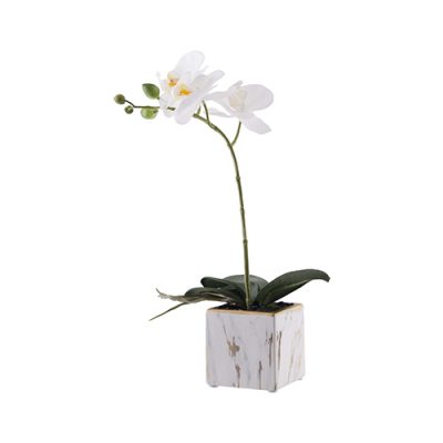 White orchid in Marble Pot (33 cm) - MHF Decor-Delights