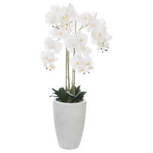 White orchid in pot (125 cm) - MHF Decor-Delights