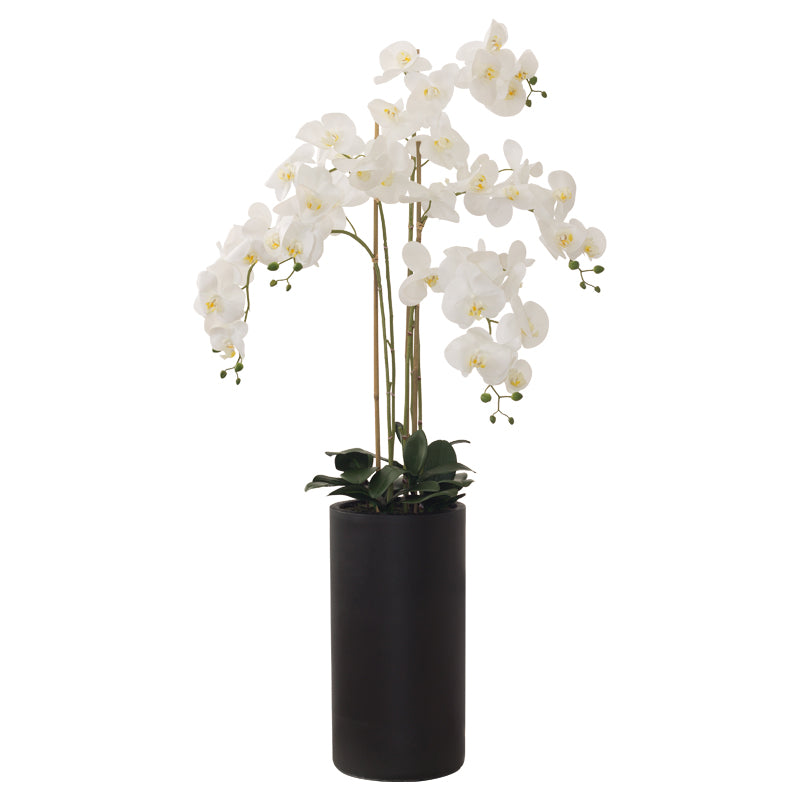 Real touch White Orchid (135 cm) - MHF Decor-Delights