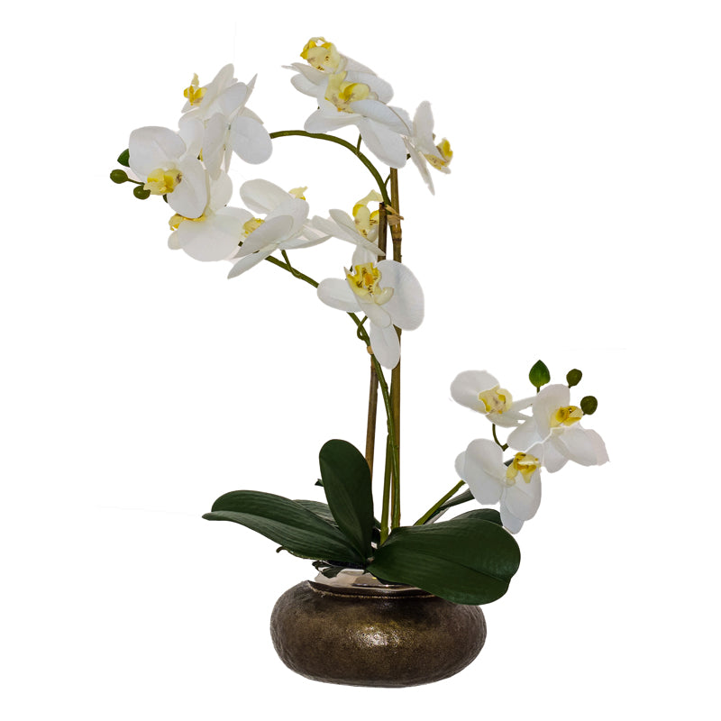 White Orchid in Pot real touch (53 cm) - MHF Decor-Delights