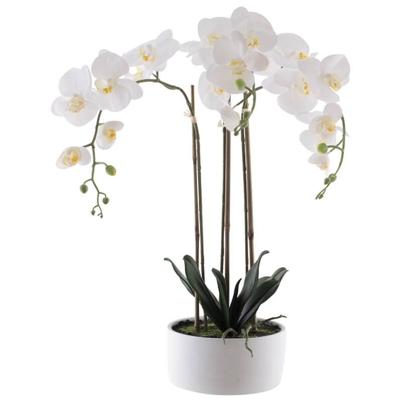 Real touch white Orchid in pot (60 cm) - MHF Decor-Delights